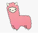 Baby llamas