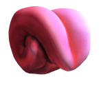 Tongue Roll Head