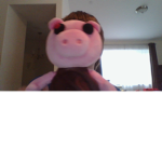 the piggy plush