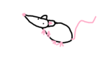 THE RAT CULT...