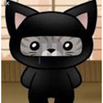 SaiTheGamingGuy And Cat Gaming