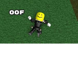 Ragdoll Test