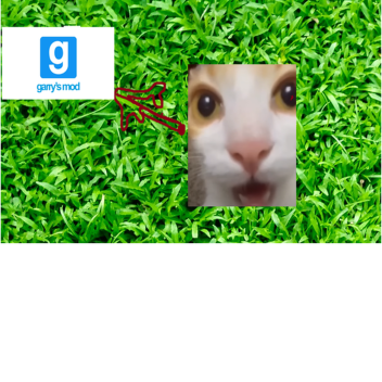 garry's mod(overhaul)