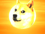 Doge dog crew
