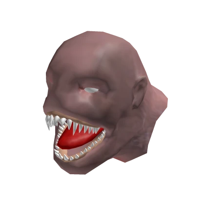 Riramon STRYMON ZUMA R300 – Creation Music Company