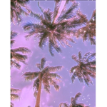 vmpclxthes