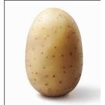 potato <33