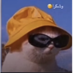 حمد٨٨٢٩