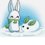 Winter bunny’s