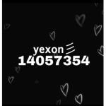 yexon 彡