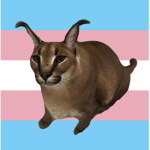 floppa propaganda