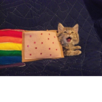 Cats'R'Us