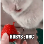 rubys ; dhc