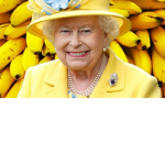 The Banana Hype House