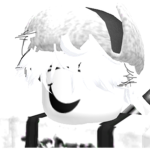 WhiteSo Fan Club