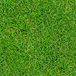 Touch Grass Test