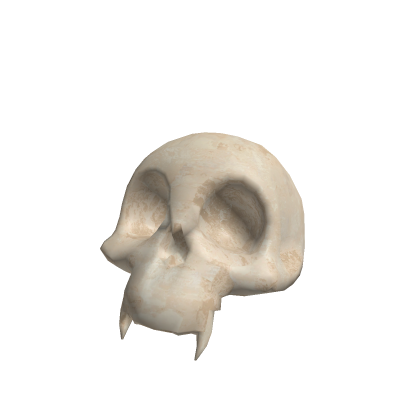 Stylized Animal Skull - Low Poly Game Ready PBR
