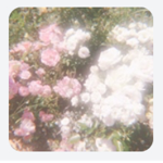 My new acc!