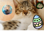 cat disco party