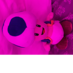 Mooaannaa
