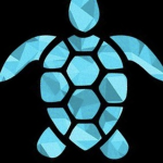 The True turtleGod