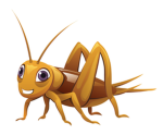 ThunderCricket Games