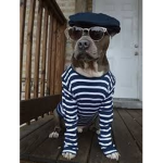 Woof! Clothing Company