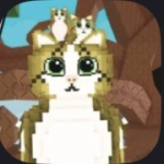 F4F-FOLLOW 4 FOLLOW