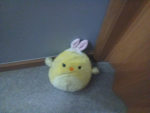 Chicken bunny
