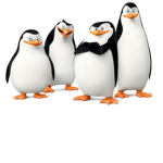 Penguin street