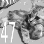 hood 47