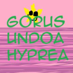 Gorus Undoa Hyprea