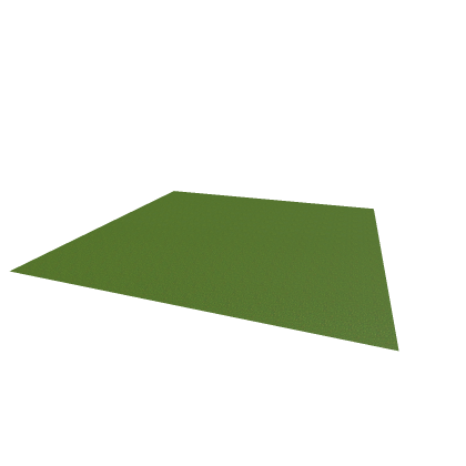 Grass