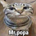 Kitty Cats UGC Group Thumbnail