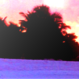𝘓𝘪𝘷𝘦