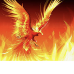 XxFireAlexCraftx YouTube group