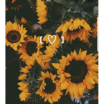 Summer is the best yay