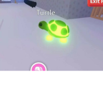 #Save All The Turtles