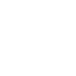 Spring Rabbit