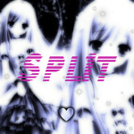 Spl1t.Co
