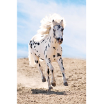Horse God