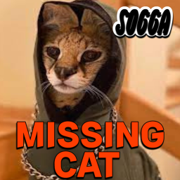 Soggy goes missing