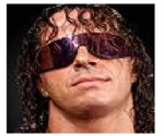 WWE hall of famers