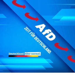 Alternative für Deutschland Raid