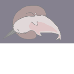 Mana Narwhals