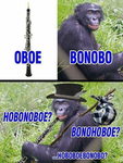 Oboe Gorilla Cult