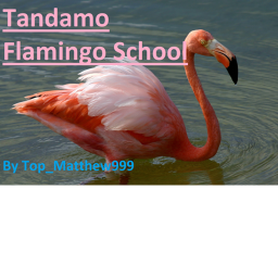 Tan Flamingo School