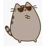 Gen,s Pusheen group