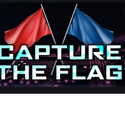CAPTURE the FLAG