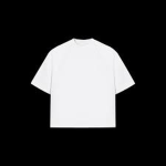 Roblox Fans for ollie